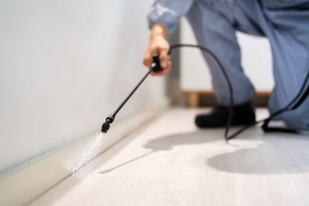 Rodent Entry Point Assessment in Los Ranchos