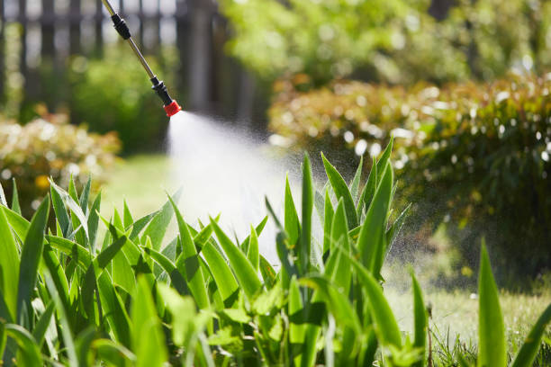 Tamper-Resistant Bait Stations for Rodents in Los Ranchos